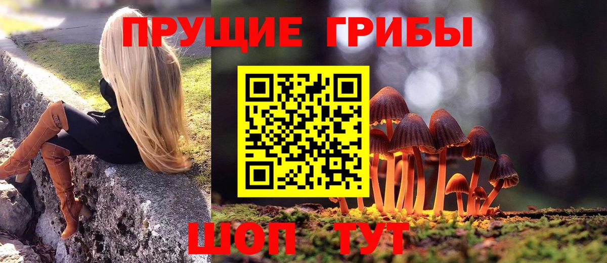 что такое наркотик  Галлюциногенные грибы Psilocybe  Вход с VPN  Галлюциногенные грибы мицелий  Жигулёвск 
